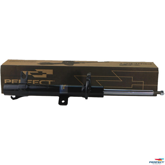 Amortecedor Suspensão - Perfect - AMD30313 - (1)