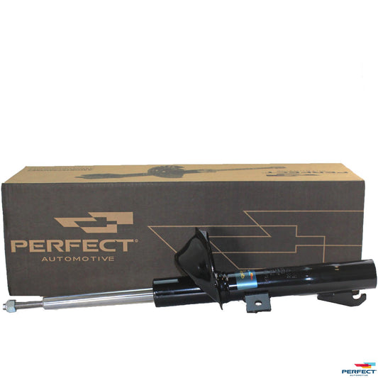 Amortecedor Suspensão - Perfect - AMD05953 - (1)