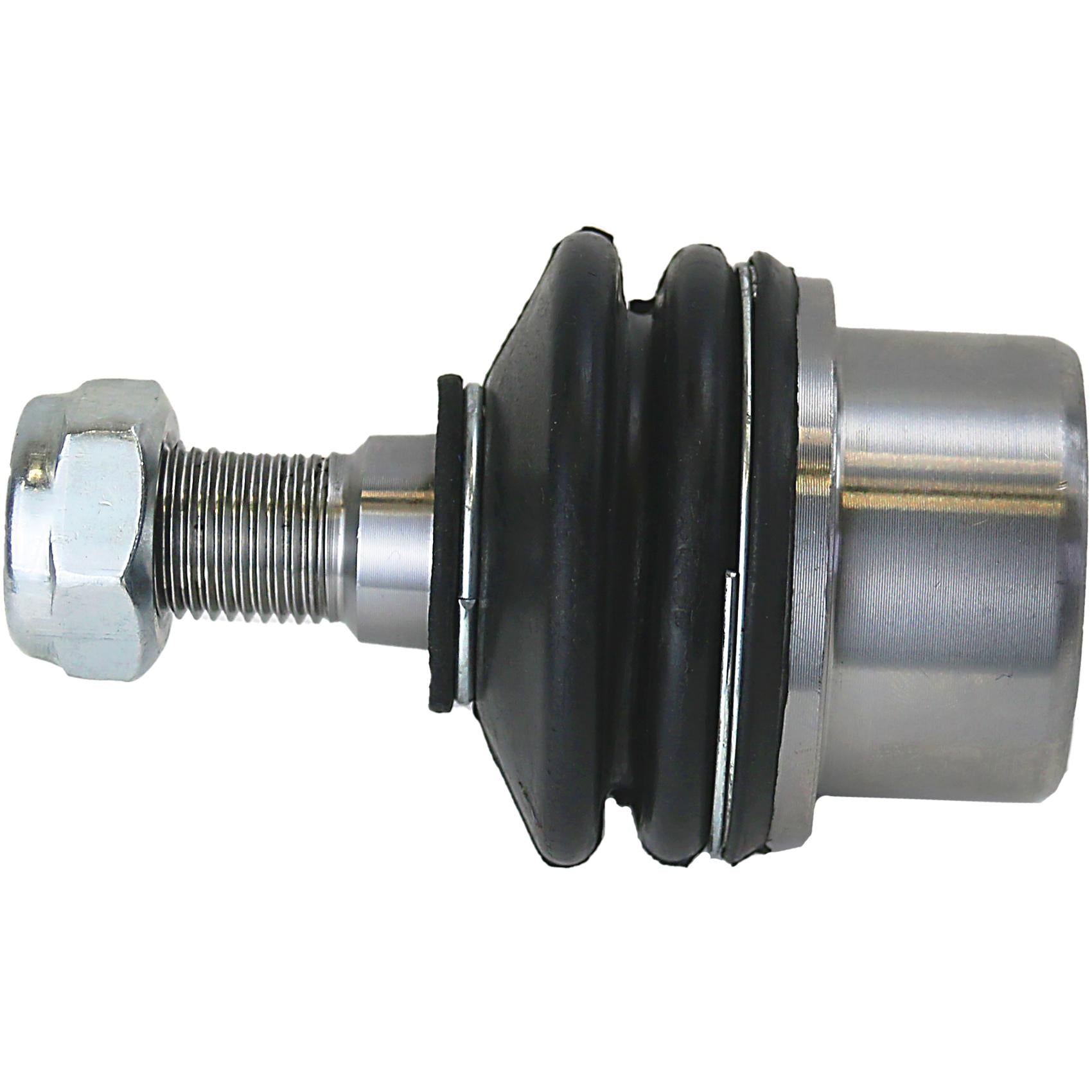 Jg Pivo - Perfect - KPV8302 - (3)
