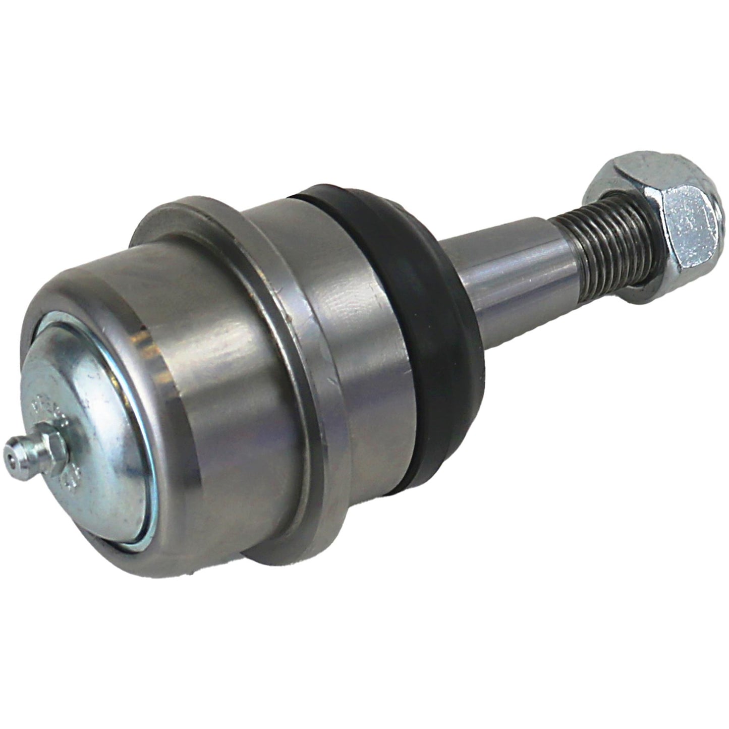 Jg Pivo - Perfect - KPV8302 - (4)