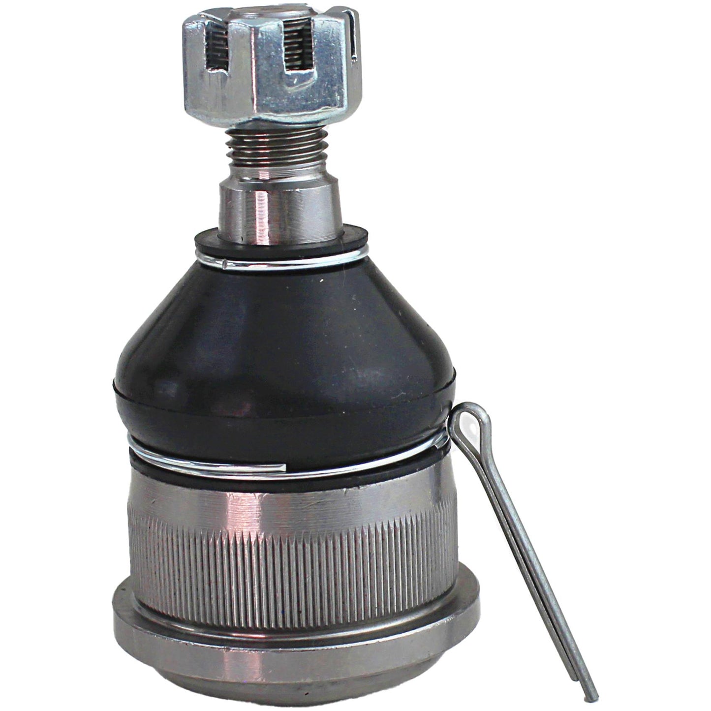 Pivo - Perfect - PVS1033 - (2)