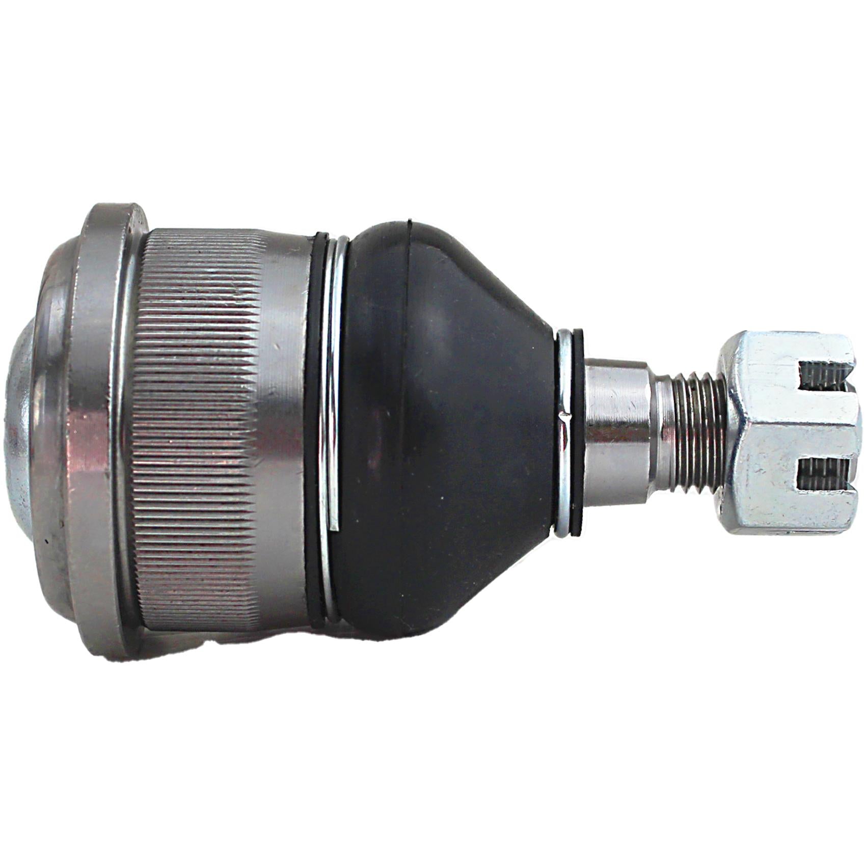 Pivo - Perfect - PVS1033 - (4)