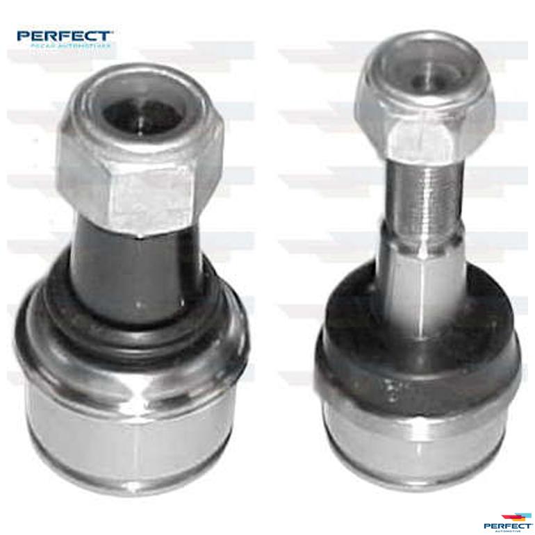 Jg Pivo - Perfect - KPV3049 - (1)