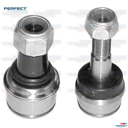 Jg Pivo - Perfect - KPV3049 - (1)