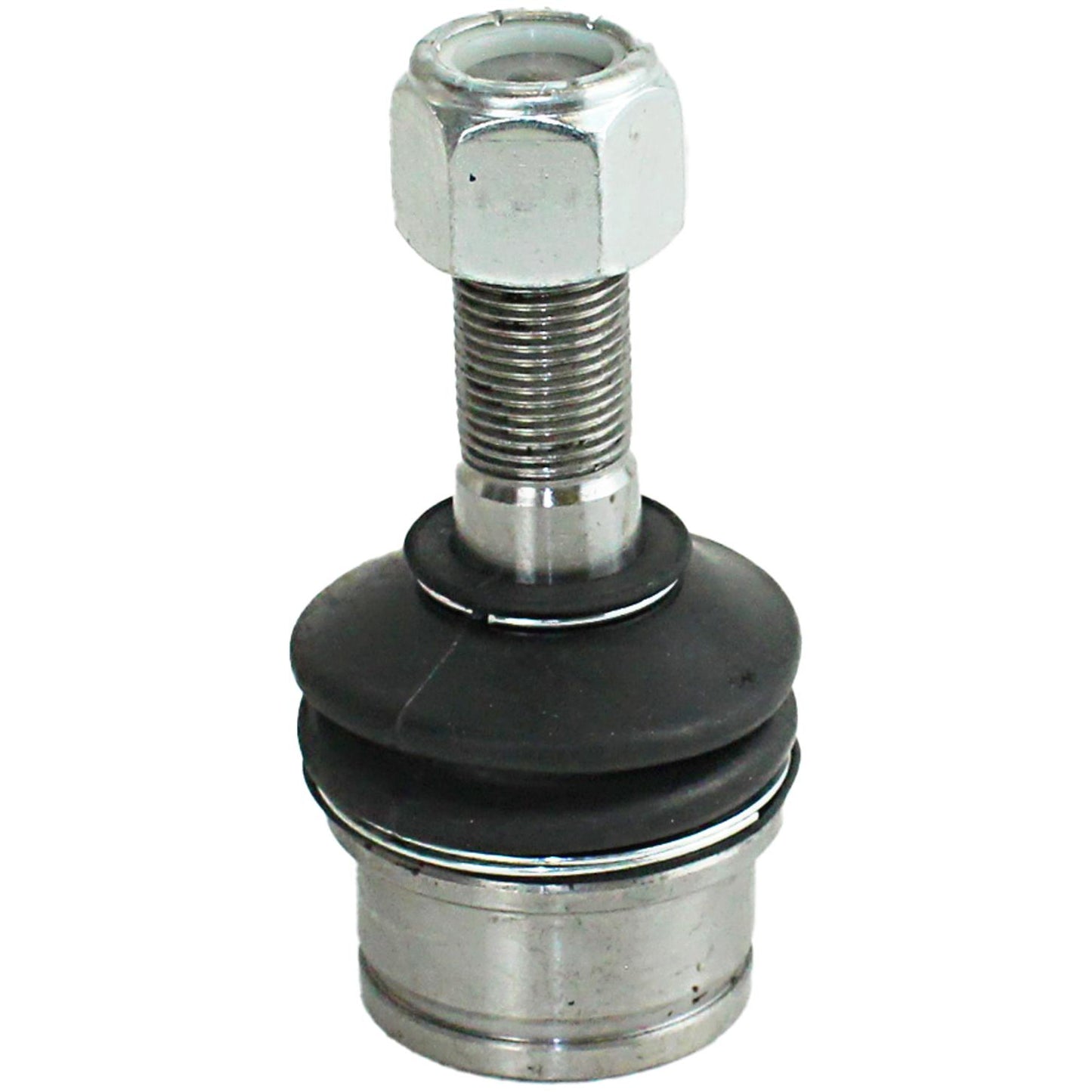 Pivo - Perfect - PVS3049 - (2)