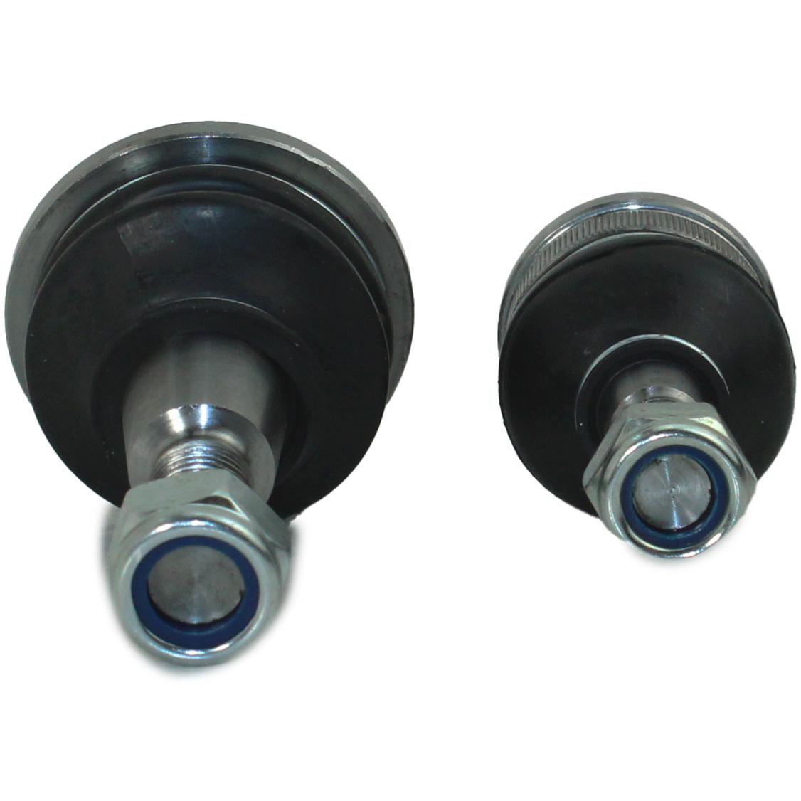 Jg Pivo - Perfect - KPV0200 - (4)