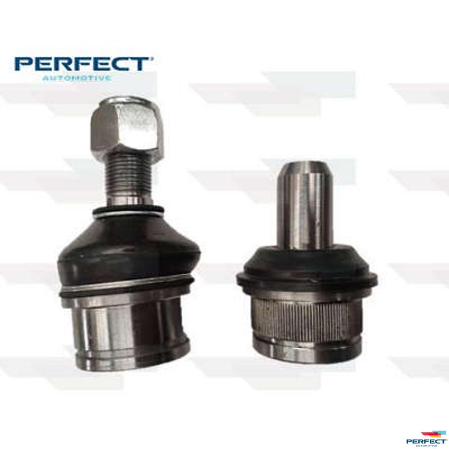 Jg Pivo - Perfect - KPV8059 - (1)