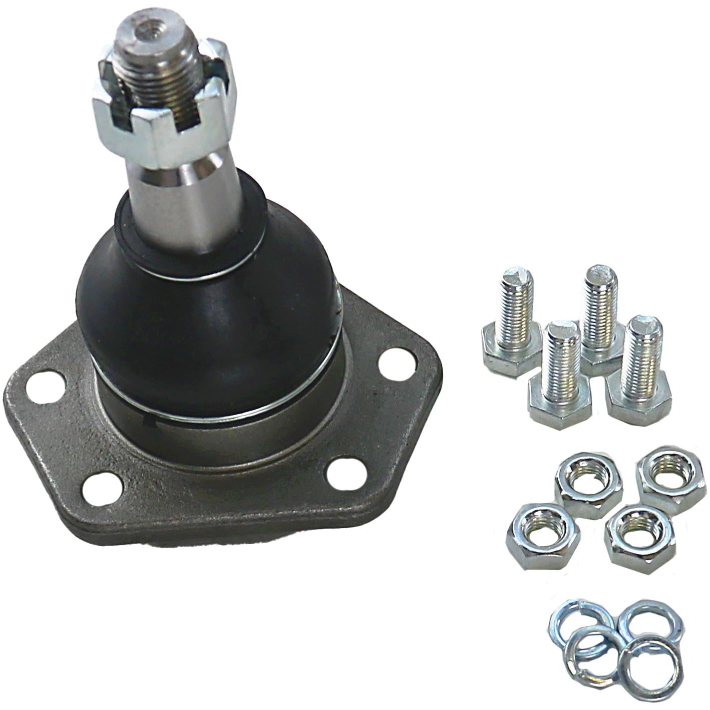 Pivo - Perfect - PVS1029 - (3)