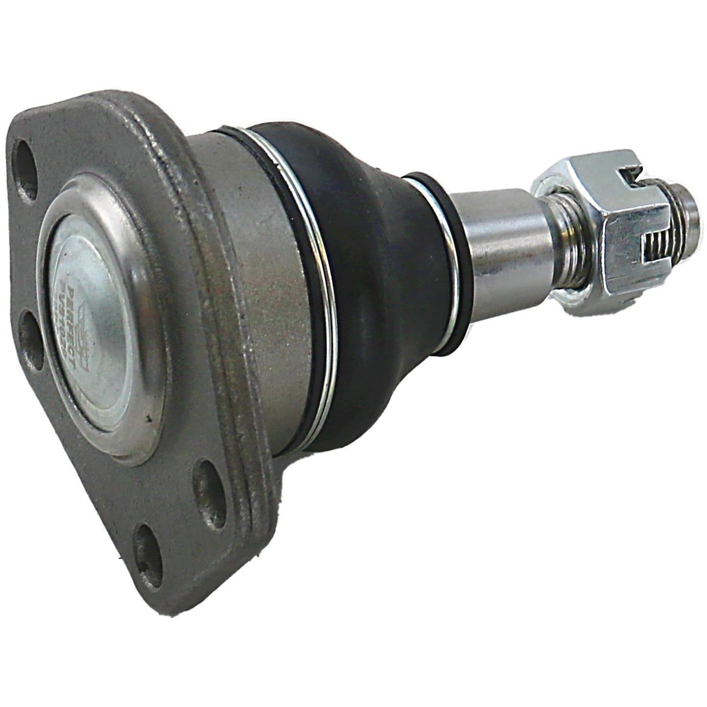 Pivo - Perfect - PVS1029 - (4)