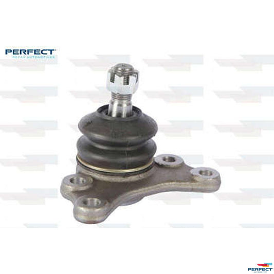 Pivo - Perfect - PVS40099 - (1)