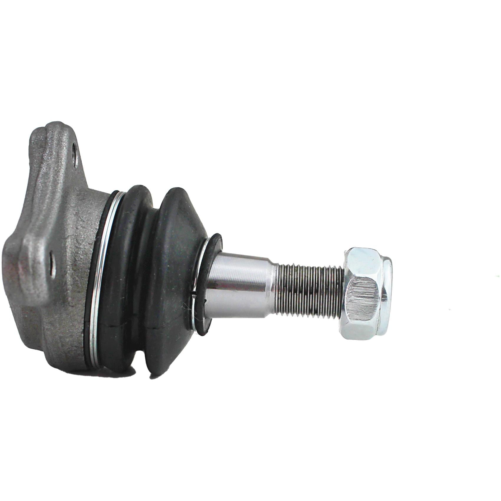 Pivo - Perfect - PVS0206 - (2)