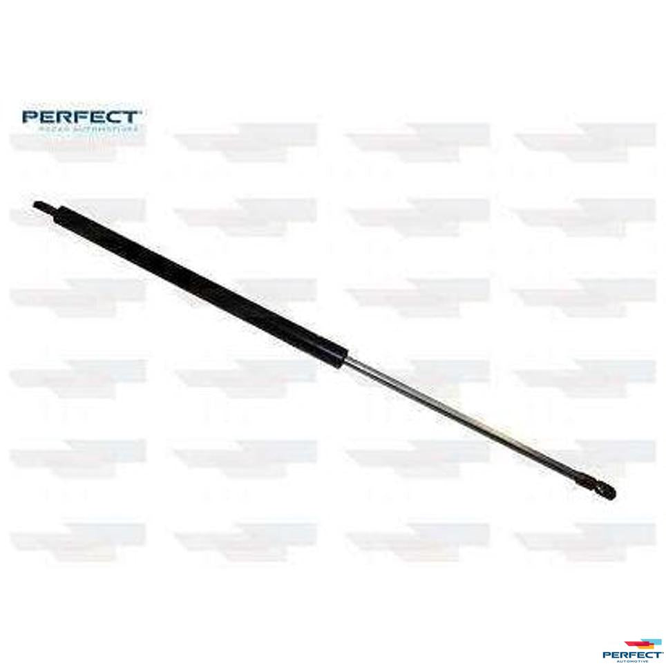 Amortecedor Porta Malas - Perfect - APM10091 - (1)