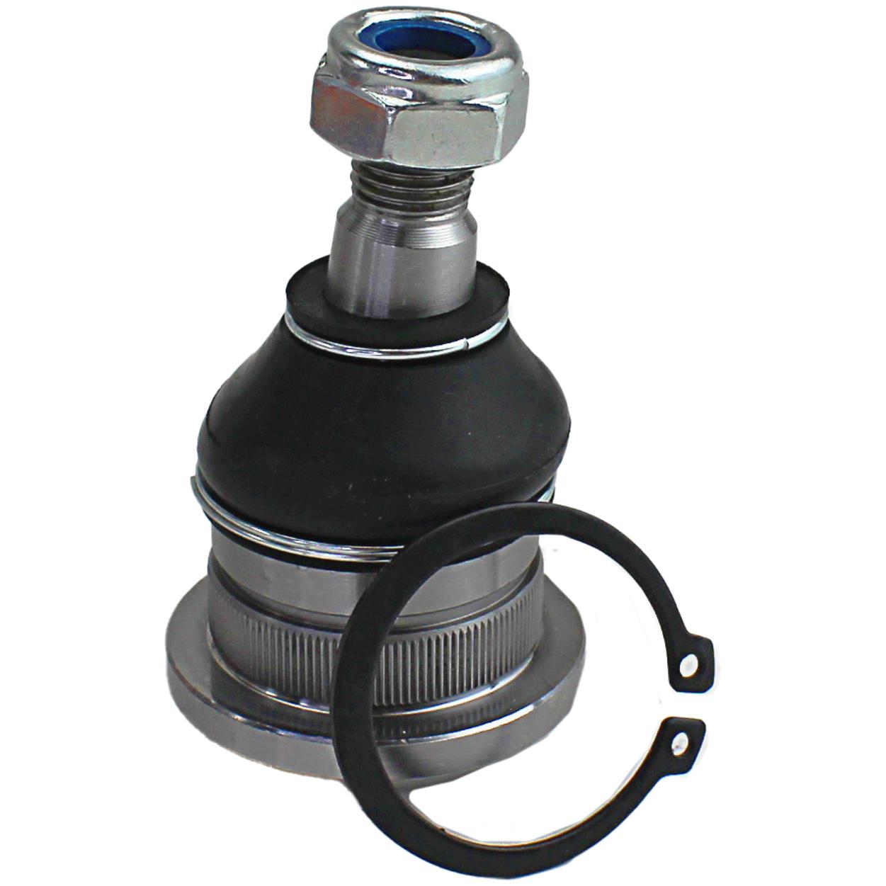 Pivo - Perfect - PVS0749 - (2)