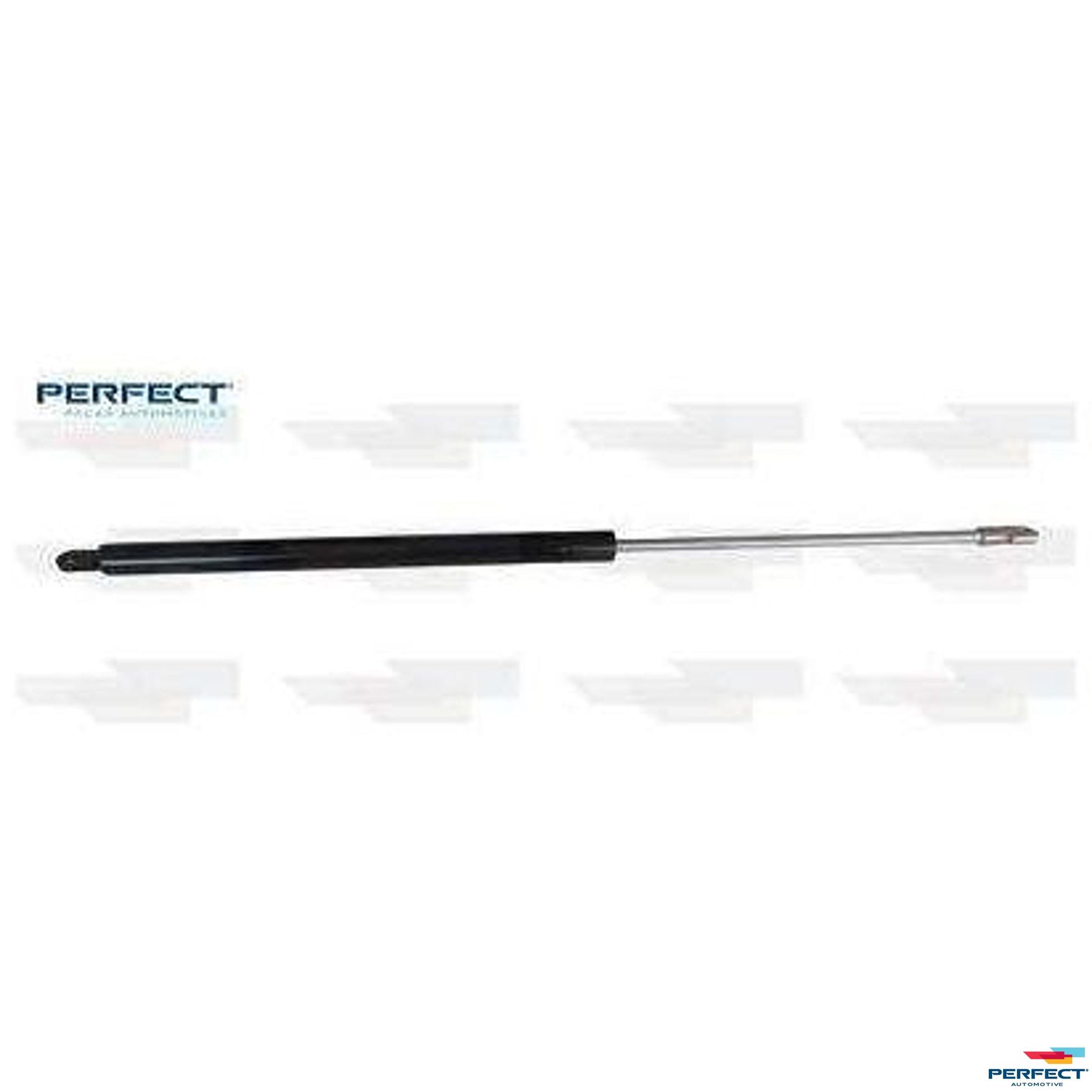 Amortecedor Porta Malas - Perfect - APM93061 - (1)