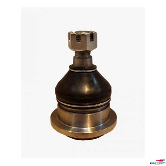 Pivo - Perfect - PVI3101 - (1)