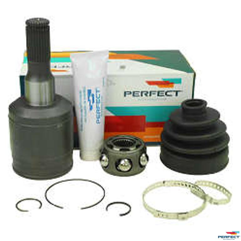 Tulipa Completa - Perfect - TLP0308 - (1)