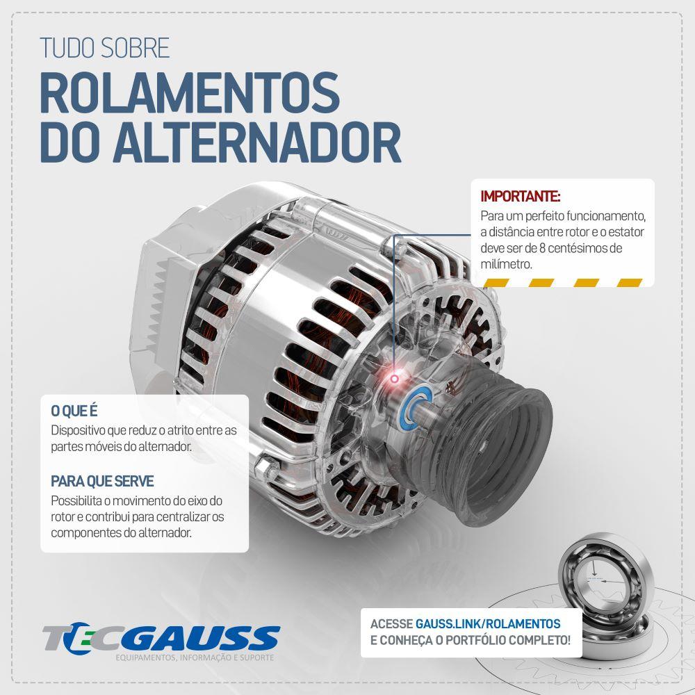 Rolamento de Esferas do Alternador - Gauss - GR6305 - (4)