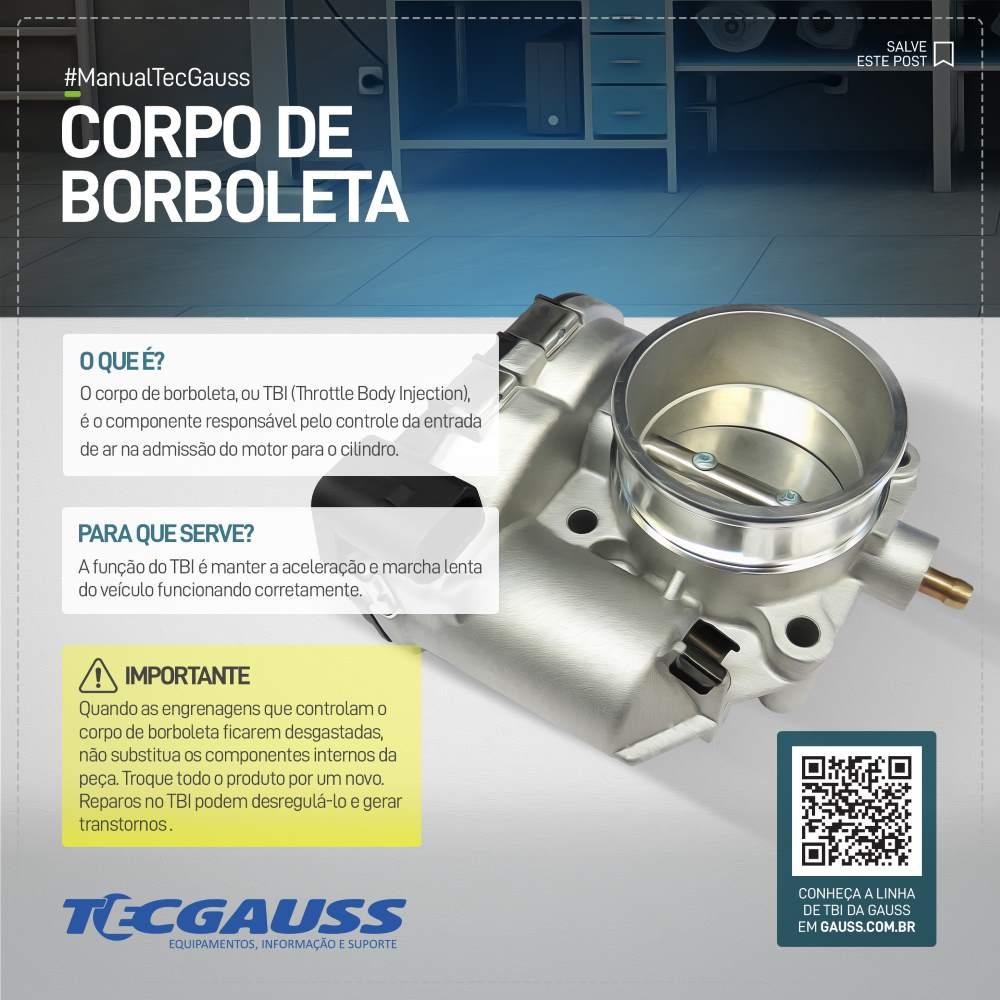 Corpo de Borboleta - Gauss - GI7002 - (2)