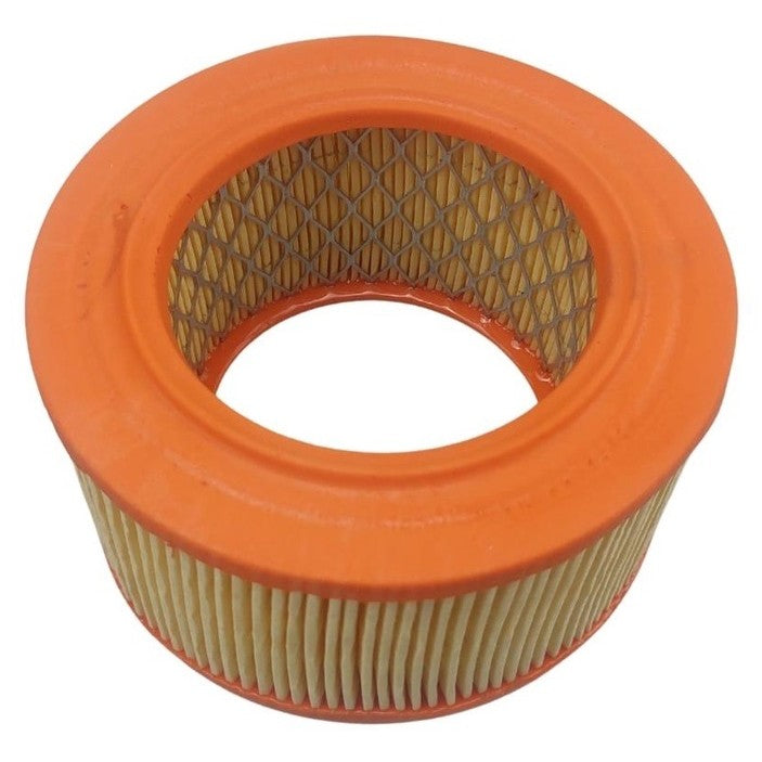 Elemento Filtrante de Ar do Motor - Delphi - EFA623 - (1)