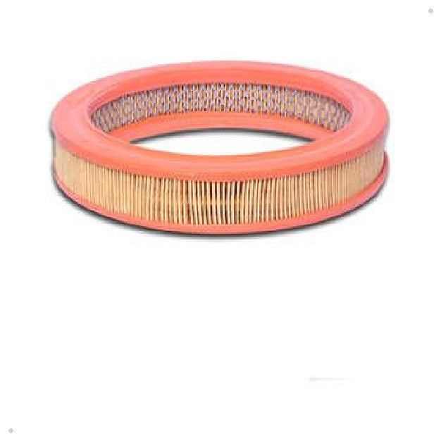 Elemento Filtrante de Ar do Motor - Delphi - EFA833 - (1)