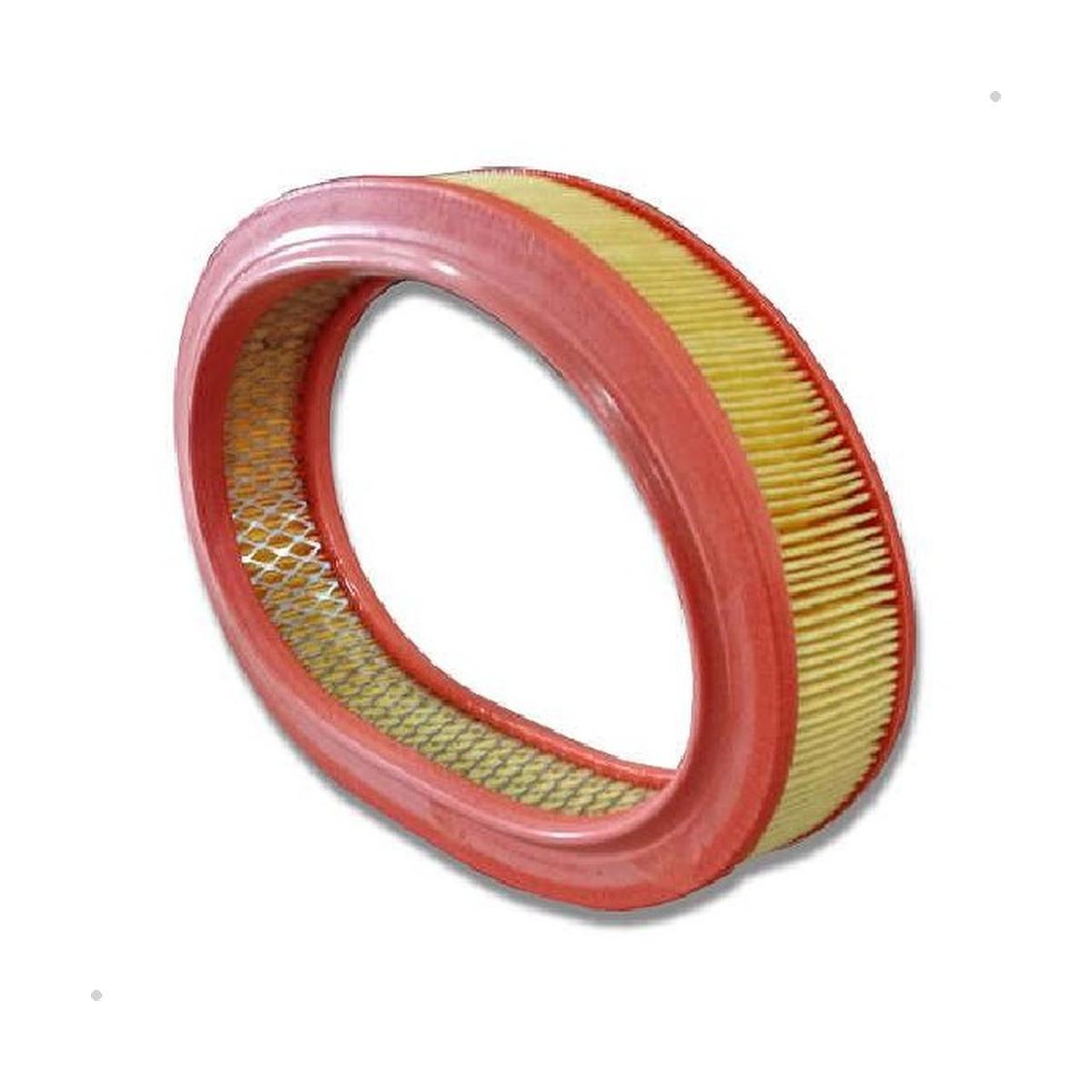 Elemento Filtrante de Ar do Motor - Delphi - EFA908 - (1)