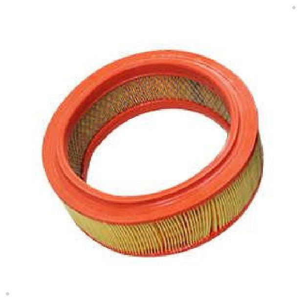 Elemento Filtrante de Ar do Motor - Delphi - EFA976 - (1)