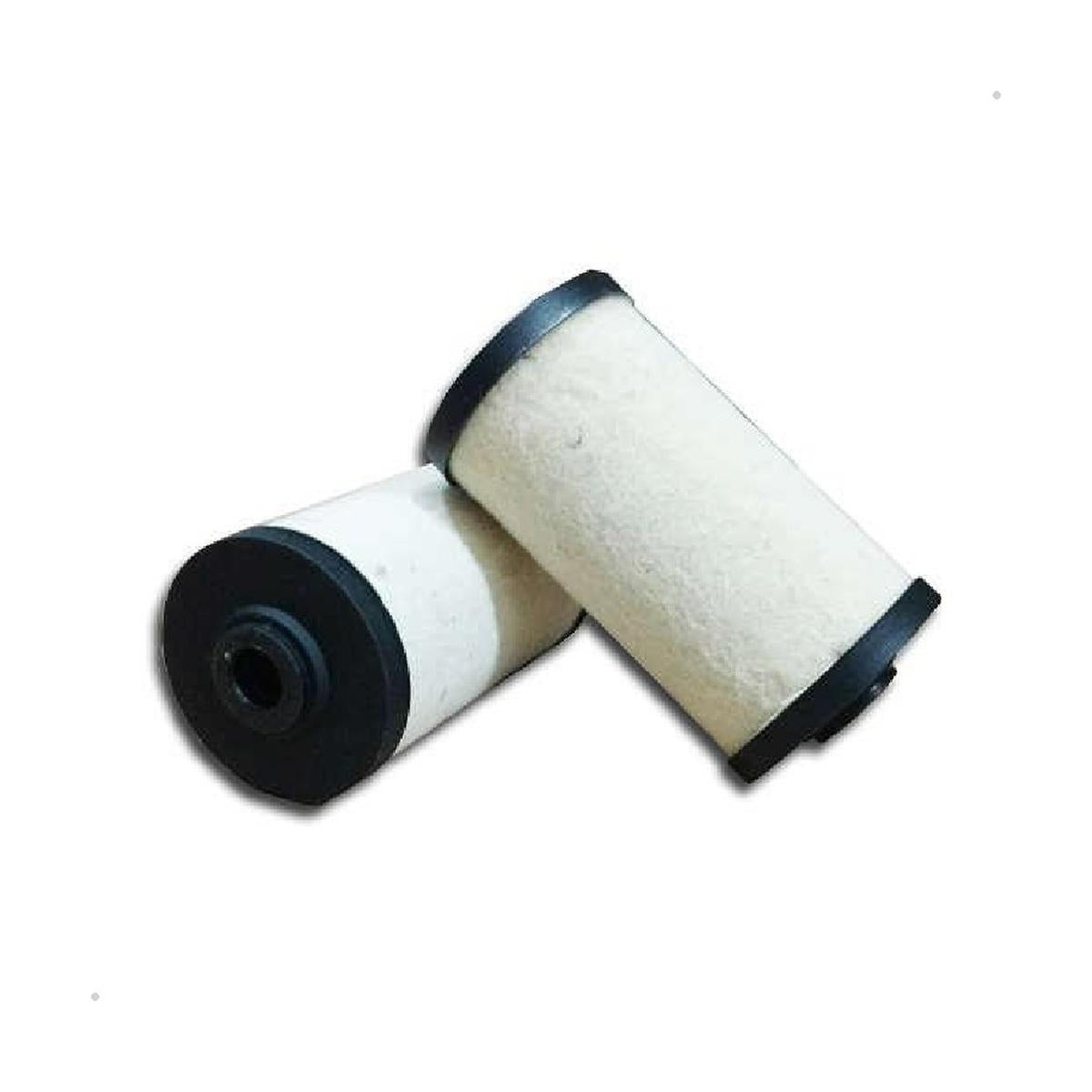 Par de Filtros de Combustível - Delphi - HDF501A - (1)
