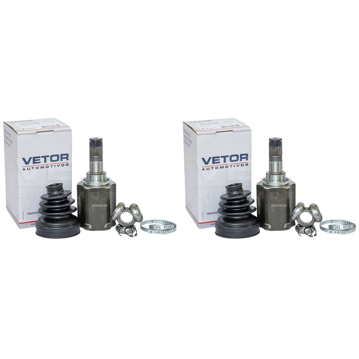 Par tulipa - Vetor - VT5870 - (1)