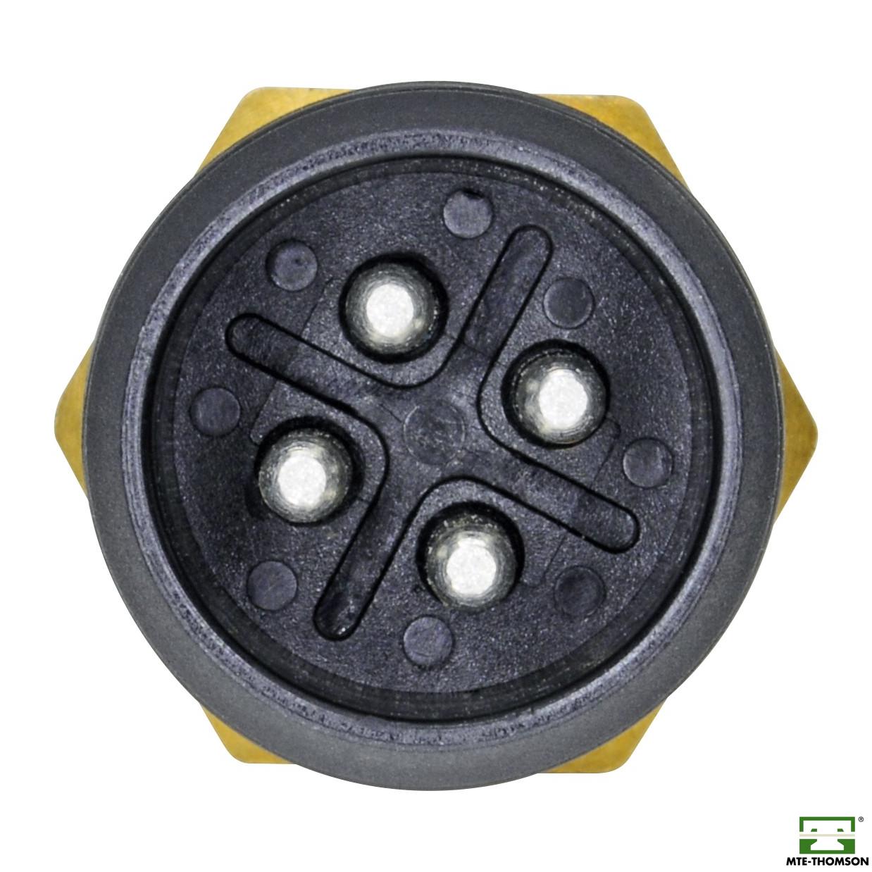 Sensor de Temperatura da Água - MTE - 4003 - (2)