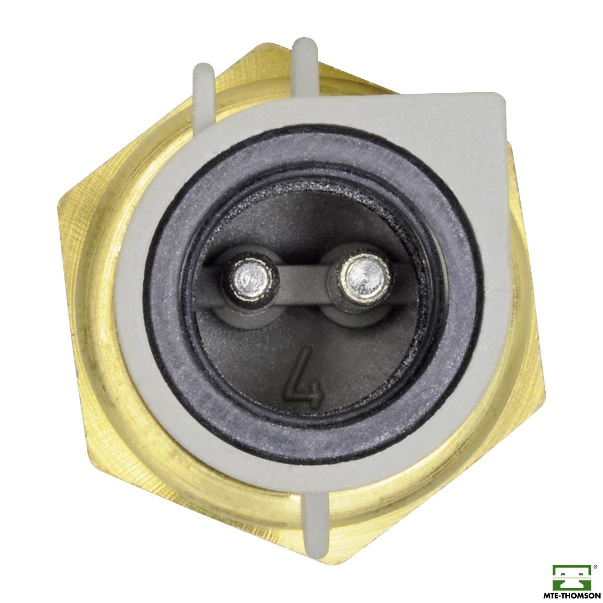 Sensor de Temperatura da Água - MTE - 4041 - (2)