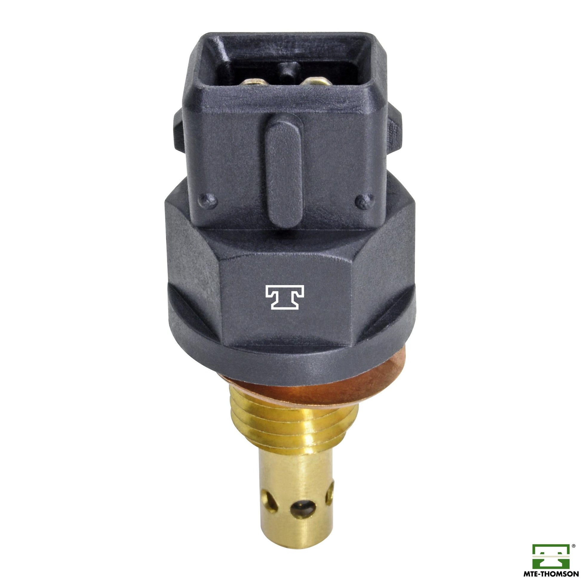 Sensor de Temperatura do Ar - MTE - 5036 - (1)