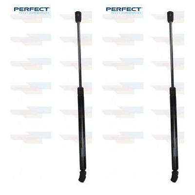Par de Amortecedor Suspensão Traseira - Perfect - APM05961 - (1)