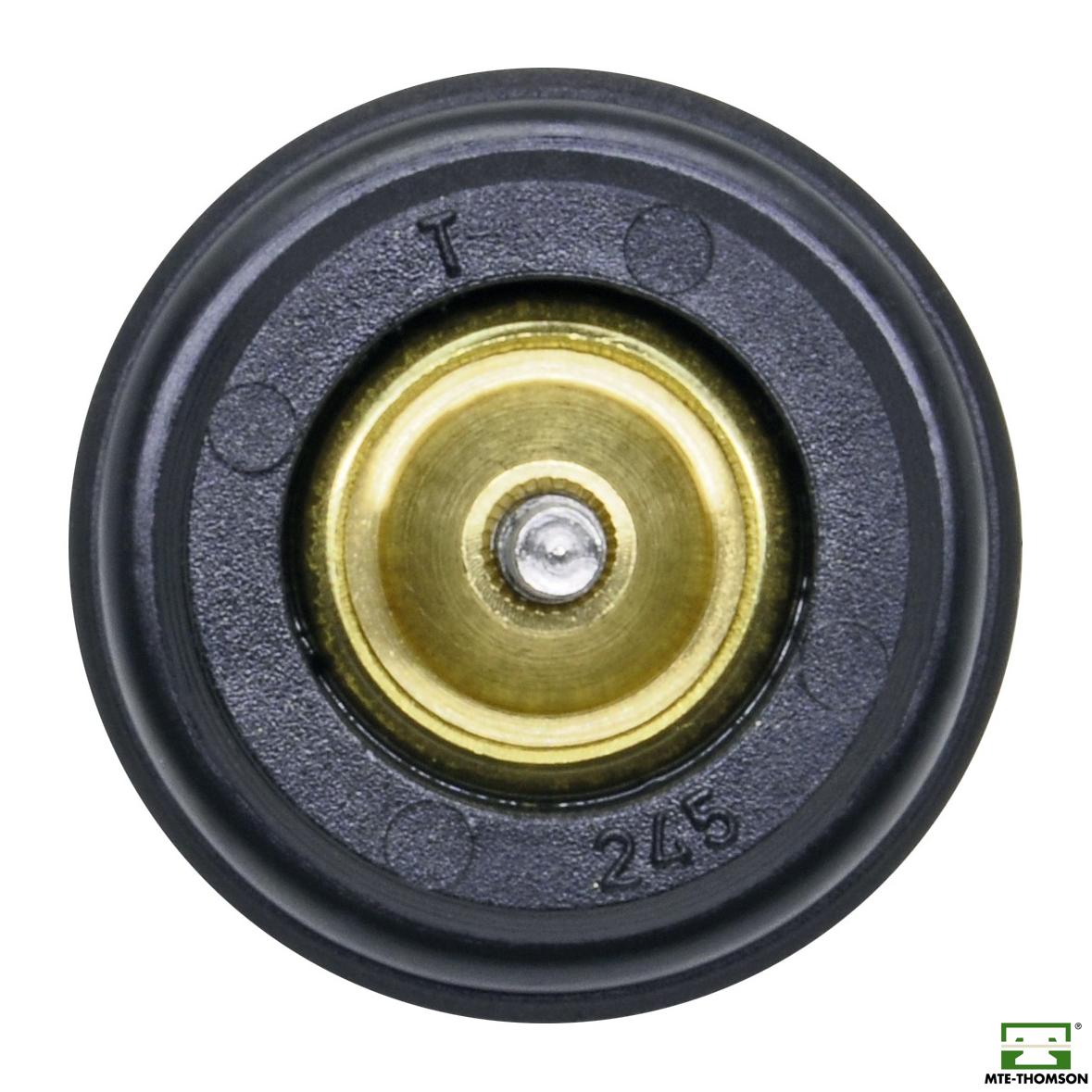 Válvula Termostática - Série Ouro - MTE - VT245.80 - (2)