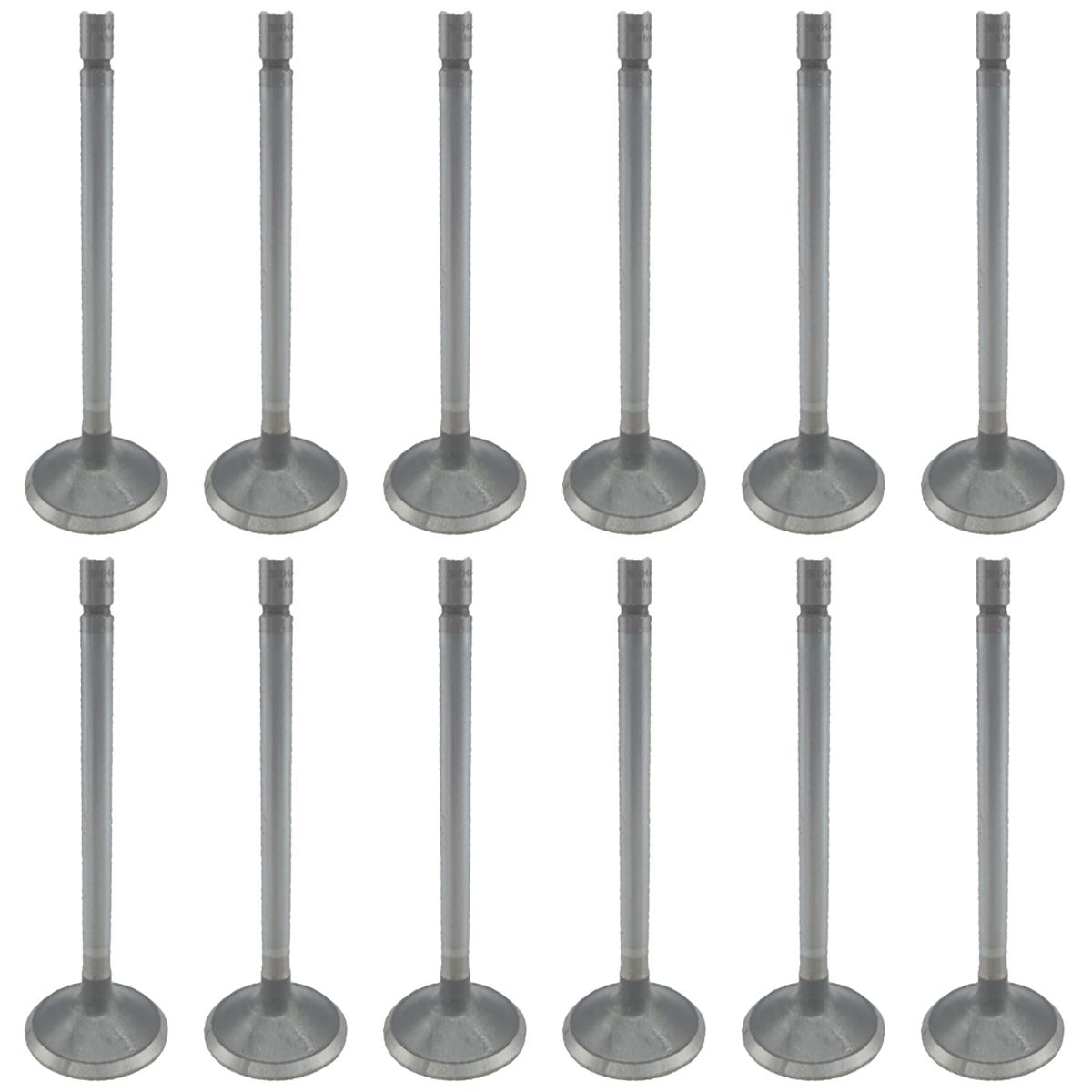 Jogo com 12 Válvulas de Admissão - KS PIERBURG - 50017042 - (1)