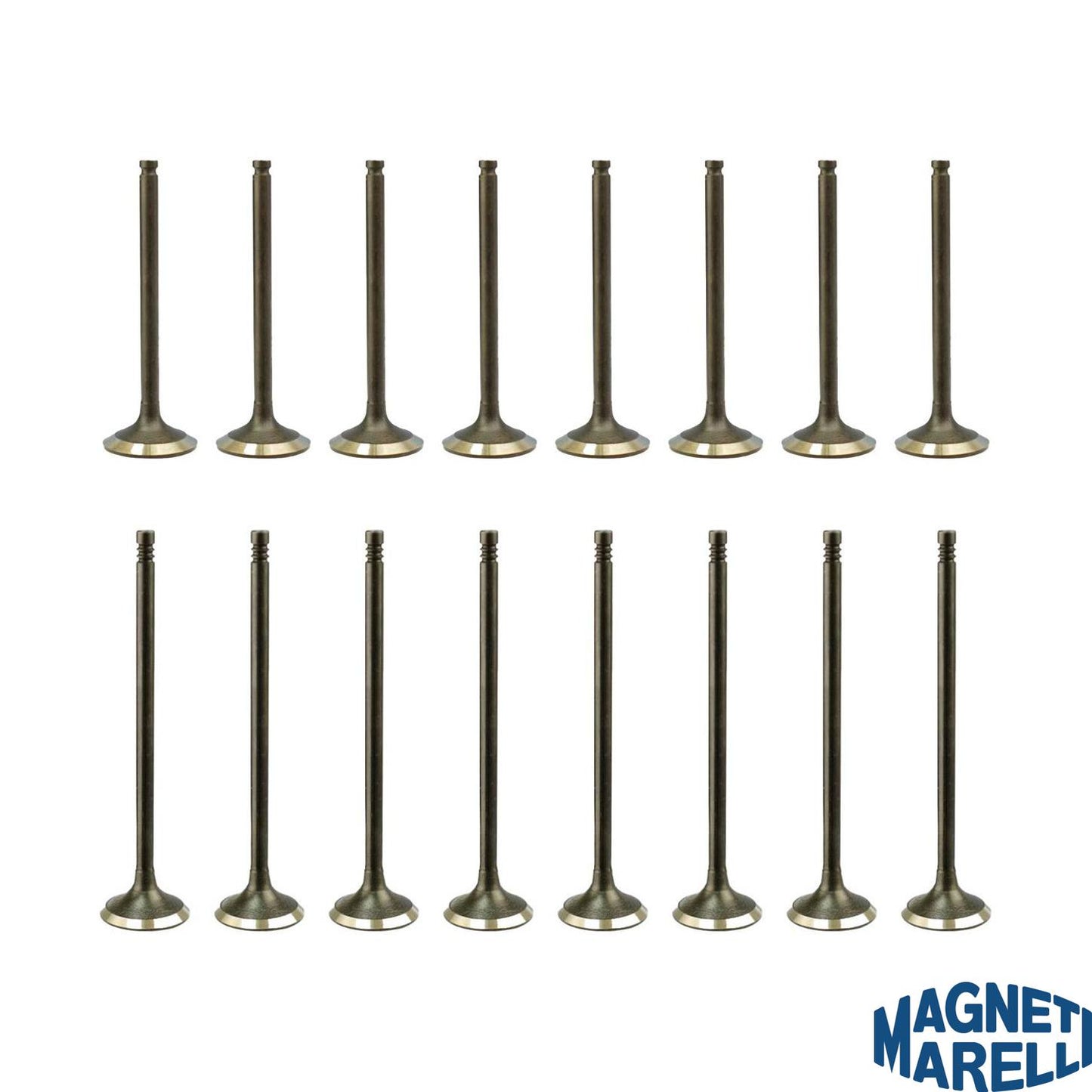 Kit com 8 Válvulas de Admissão e 8 Válvulas de Escape - Magneti Marelli - VAC03013 / VEC18013 - (1)