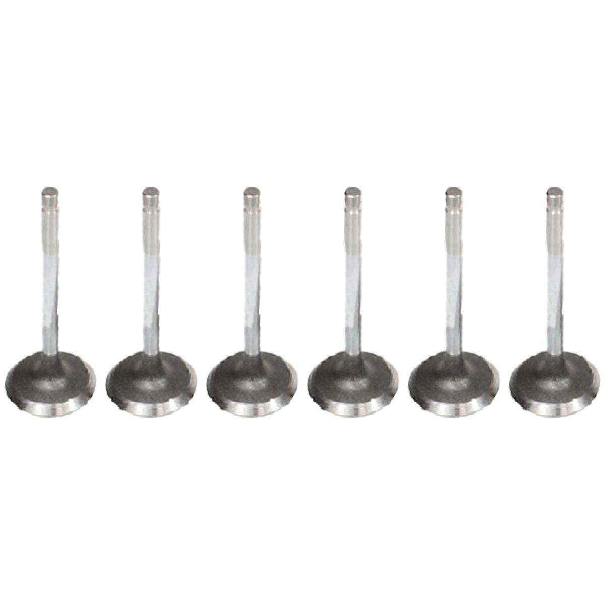 Jogo com 6 Válvulas de Admissão - Mahle Metal Leve - VA0590275 STD - (1)