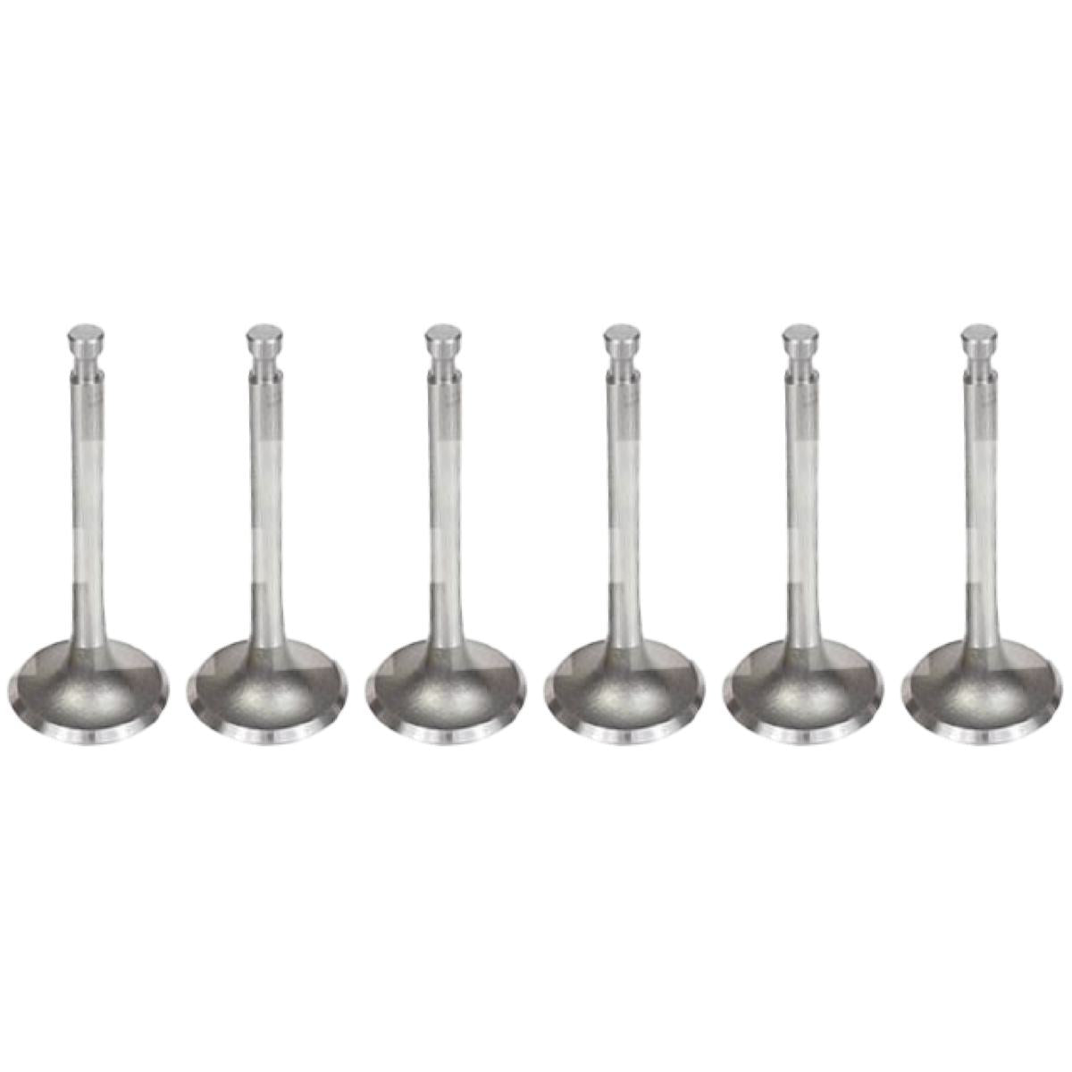 Jogo com 6 Válvulas de Admissão - Mahle Metal Leve - VA0230119 STD - (1)