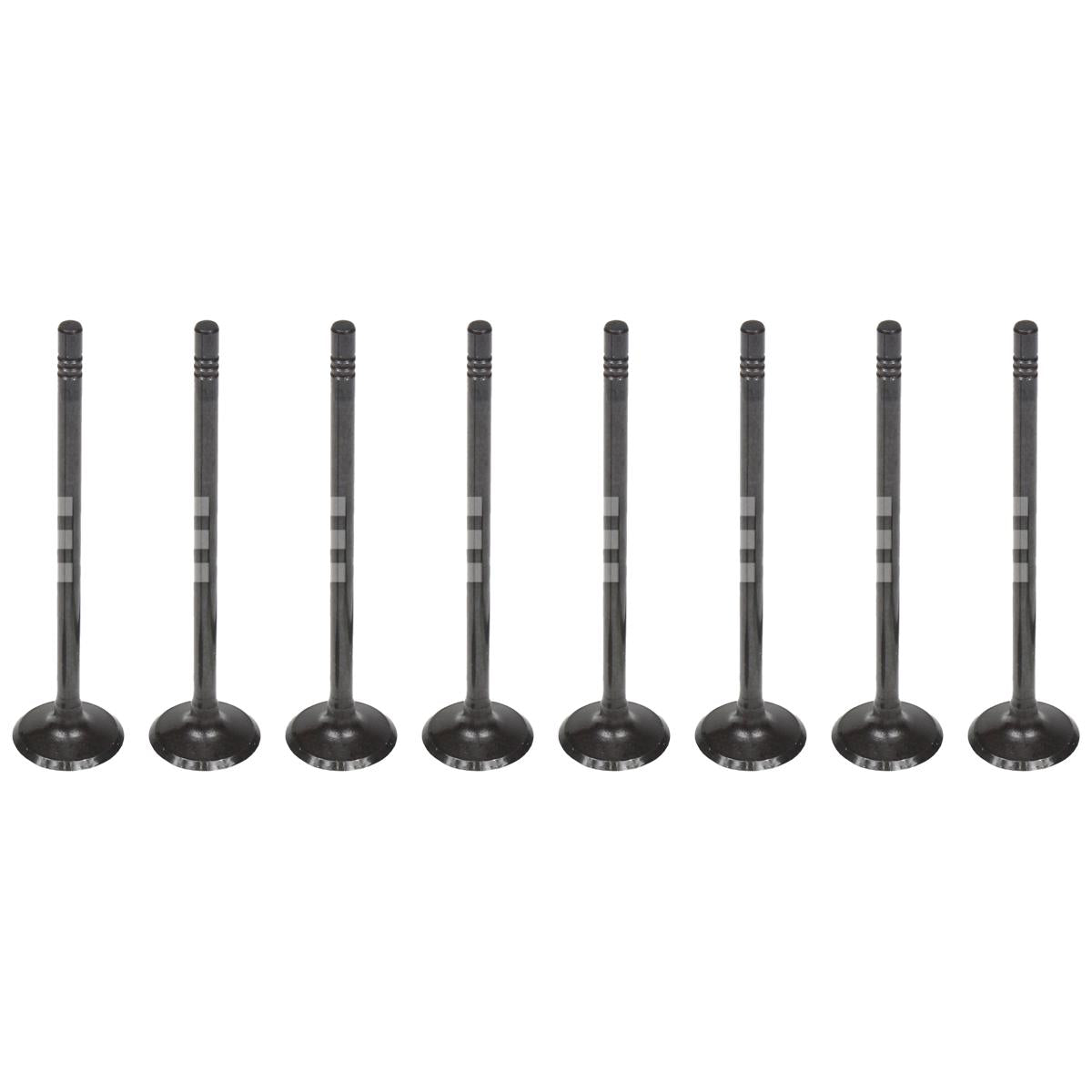 Jogo com 8 Válvulas de Admissão - Mahle Metal Leve - VA0181606 STD - (1)
