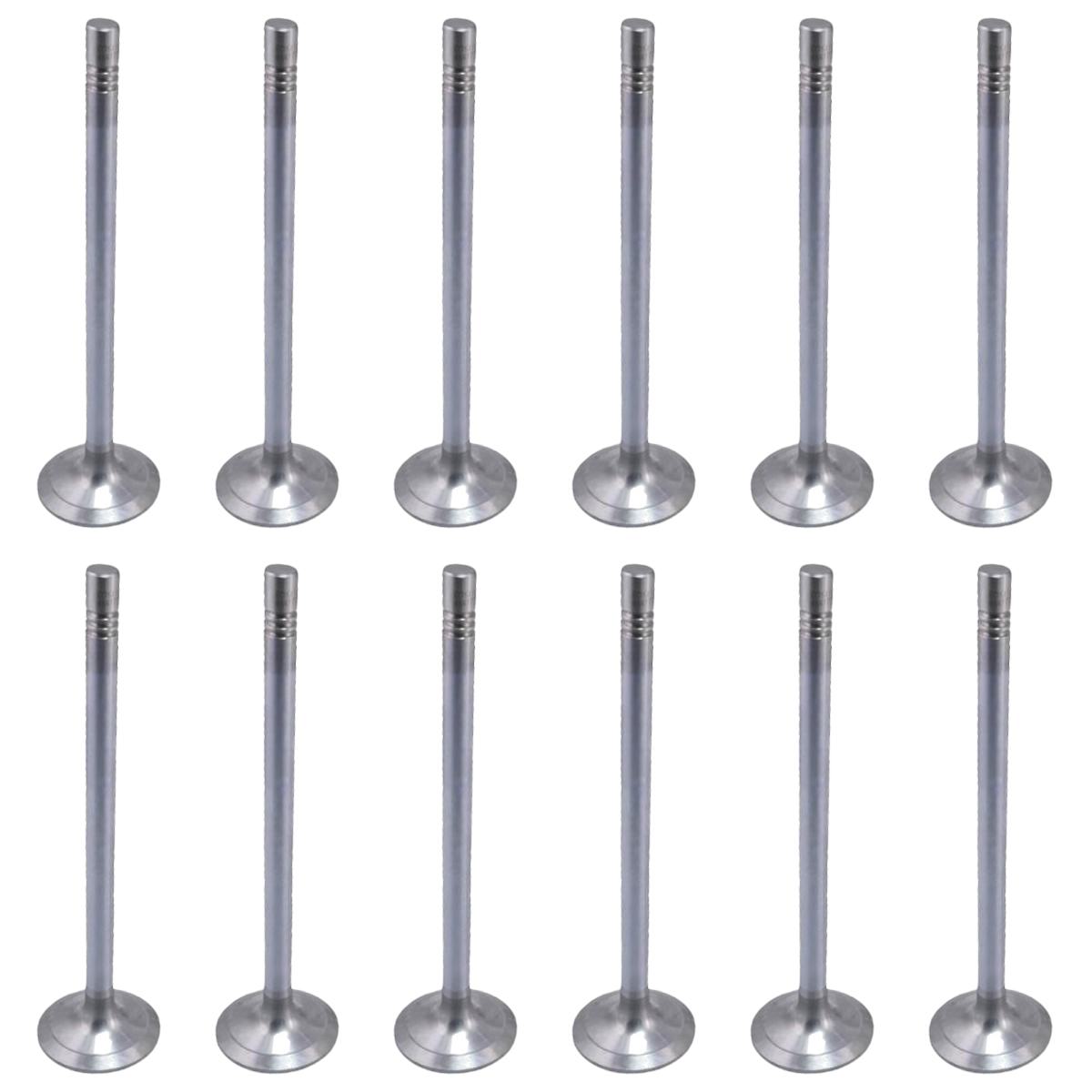 Jogo com 12 Válvulas de Admissão - Mahle Metal Leve - VA0461734 STD - (1)