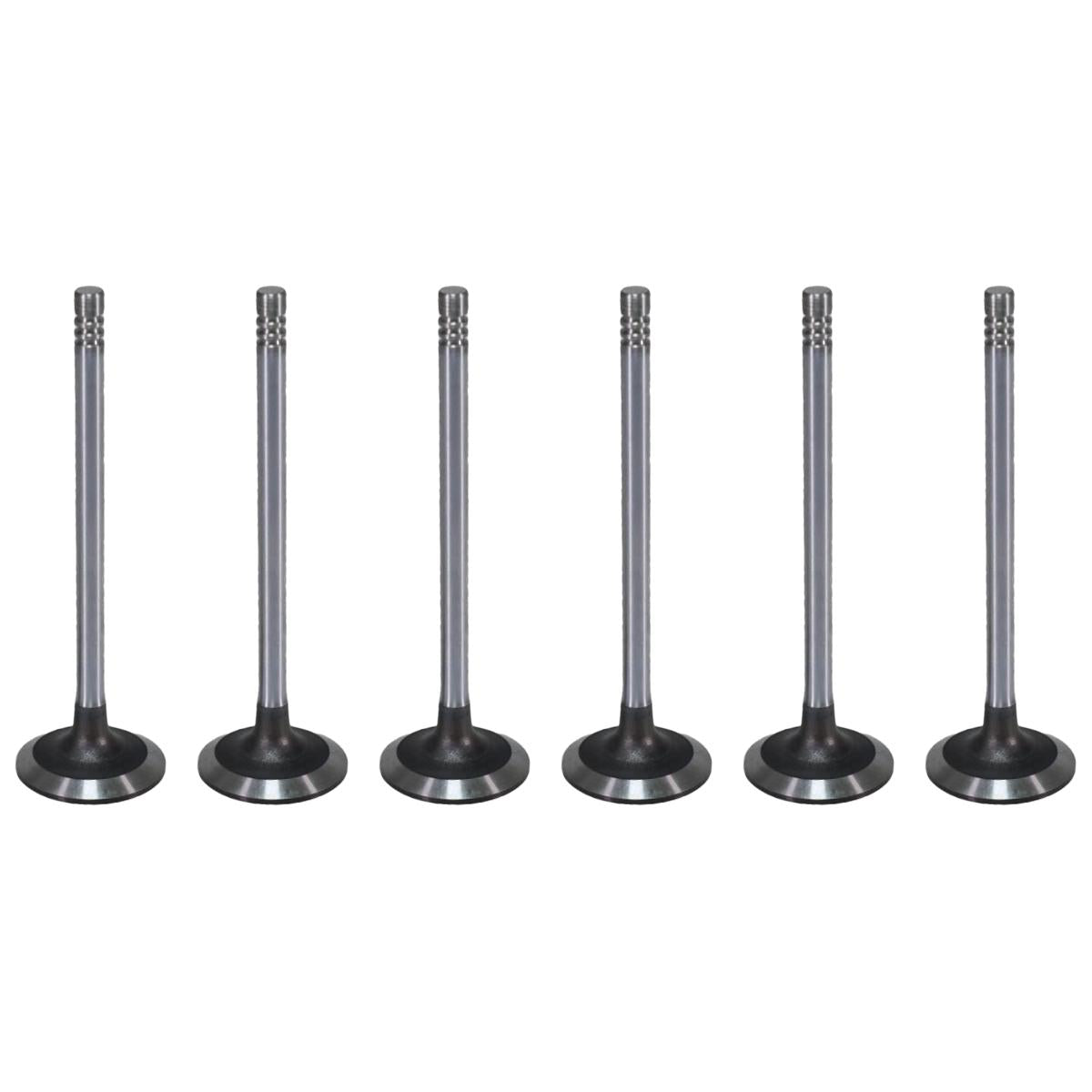 Jogo com 6 Válvulas de Admissão - Mahle Metal Leve - VA0131750 STD - (1)