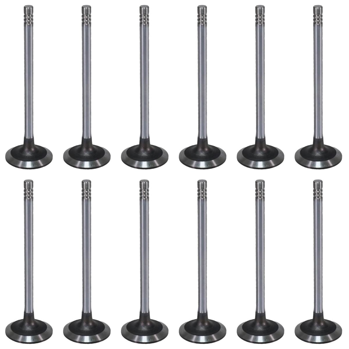 Jogo com 12 Válvulas de Admissão - Mahle Metal Leve - VA0131750 STD - (1)