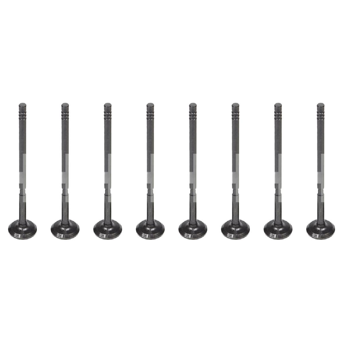 Jogo com 8 Válvulas de Escape - Mahle Metal Leve - VE0251611 STD - (1)