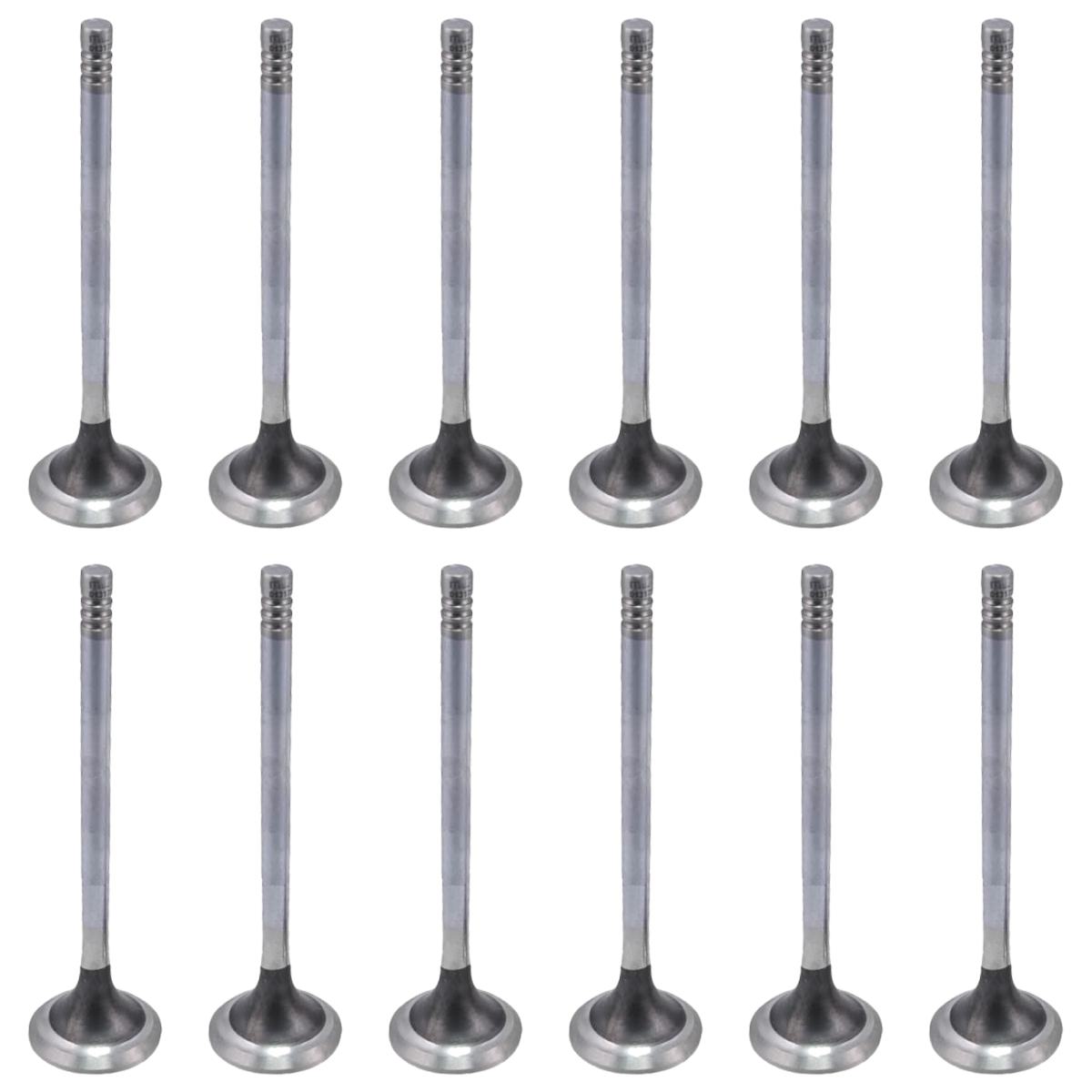 Jogo com 12 Válvulas de Escape - Mahle Metal Leve - VE0131751 STD - (1)
