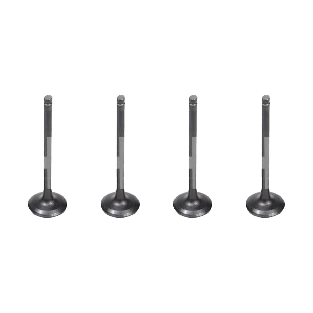 Jogo com 4 Válvulas de Escape - Mahle Metal Leve - VE0181704 STD - (1)
