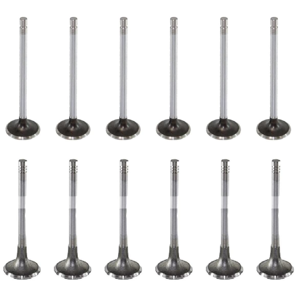 Kit com 6 Válvulas de Admissão e 6 Válvulas de Escape - Mahle Metal Leve - VA0130011 STD / VE0130010 STD - (1)