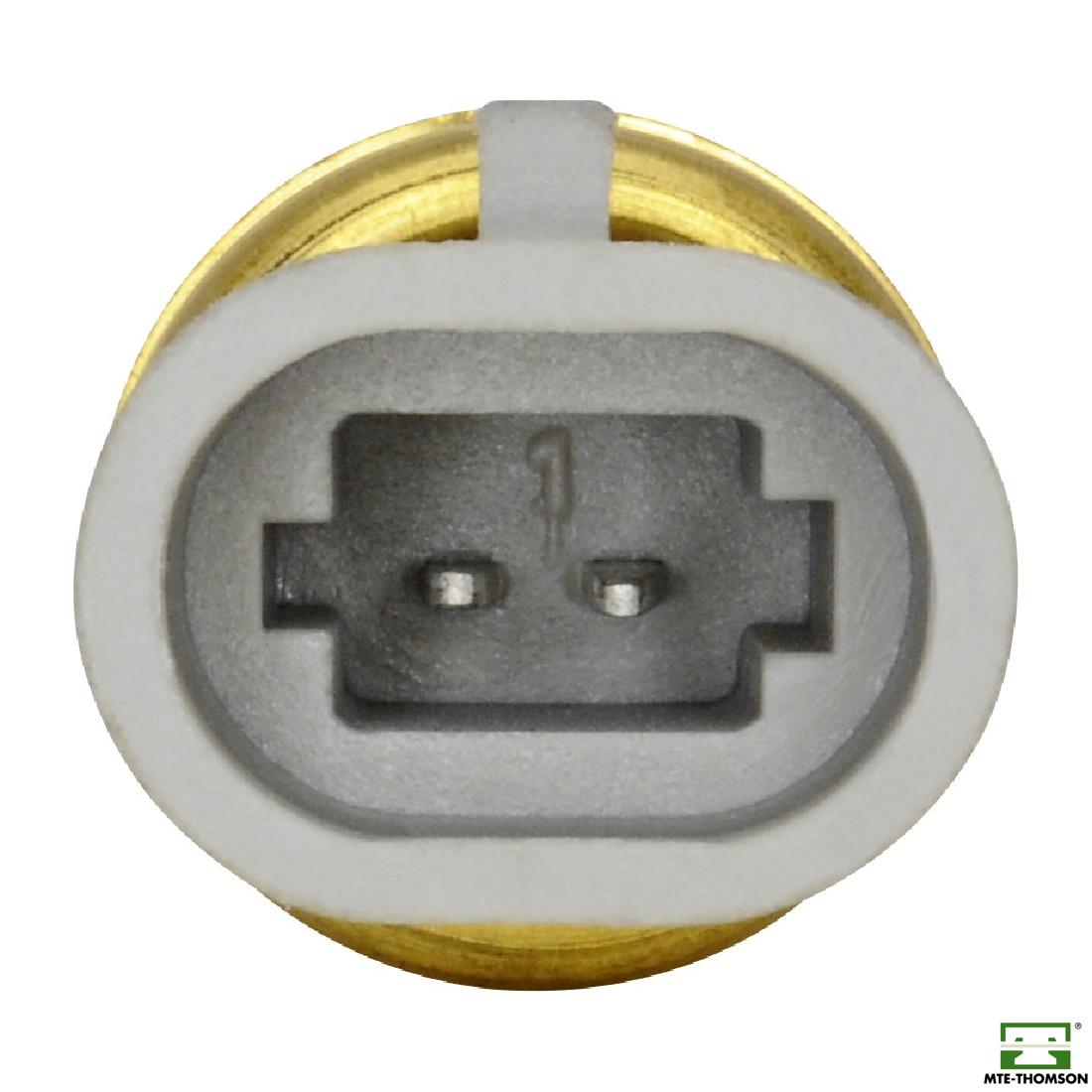Sensor de Temperatura do Ar - MTE - 5029 - (2)