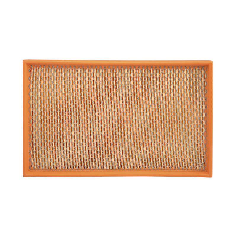 Filtro de Ar do Motor - Wega - FAP-4855 - (3)