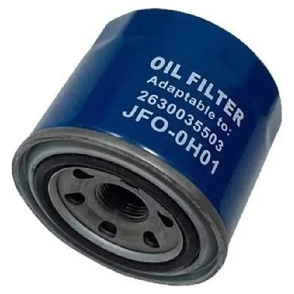 Kit Filtro e 4L Óleo Motor 5W30 GTX - Castrol / Wega - 3435995 / JFO-0H01 - (15)