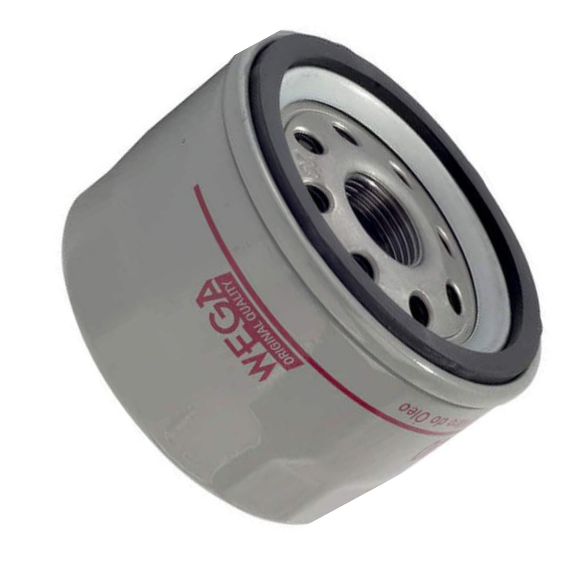 Kit Filtro e 6L Óleo Motor 10W40 GTX - Castrol / Wega - 3436727 / WO-200 - (16)