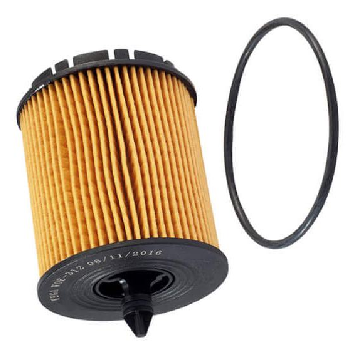 Kit Filtro e 5L Óleo Motor 5W30 GTX - Castrol / Wega - 3435995 / WOE-312 - (14)